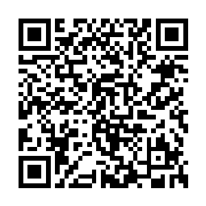 漫天的尸体就犹如密集的雨点般从空中坠落在地二维码生成