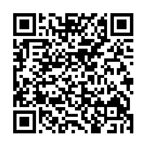漫天的恐怖的毁灭的能量也直接朝着杨戬的身上狂涌而来二维码生成