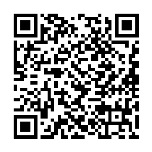 澹台璃这个时候抬手指向我们右侧边一个隐蔽山洞二维码生成