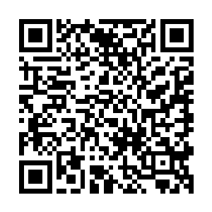 灌入到内部的圣元只能让它产生虚级上品秘宝的能量波动而已二维码生成