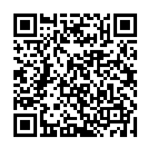 火堆微弱的光在石壁上投出了一双双相互交缠的影子二维码生成