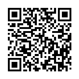 火龙果丹的竞拍比附魔刀要火热许多二维码生成