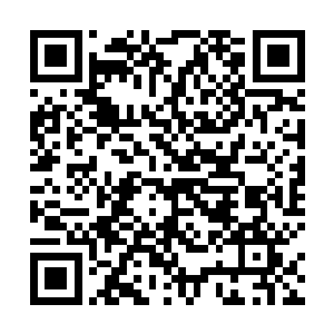 灵梦是国师大人身边人……如果从灵梦的表现倒推的话二维码生成