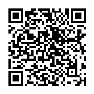 炎黄海警们自然以牙还牙不必用人道的原则回报他们二维码生成