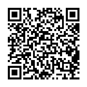 烛龙领内的烛油生产基地现在已经正式投入使用的有一个二维码生成