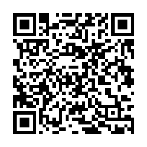 焚心莲身边的老者见状有些好奇的望了龙傲天一眼二维码生成