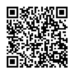 焚心莲身边的老者顿时也露出了一抹戒备的神情二维码生成