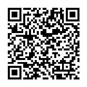 然叶虞用系统这个作弊神器完全不需要跟自己这般对着干二维码生成