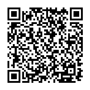 然后三人就争先恐后的把刚开弄出来不错是鱼内脏例如什么鱼心啊肝之类的二维码生成