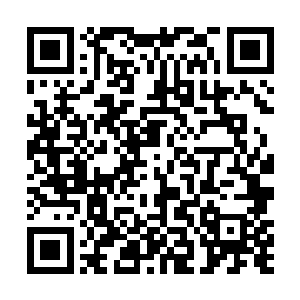 然后中年那个眉毛就像是两把刷子一样的家伙又说话了二维码生成