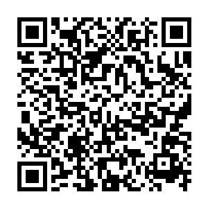 然后从空间里招出了一条圆滚滚的肥鲭鱼放到了三个小东西的面前二维码生成