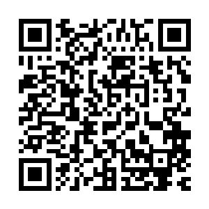 然后从陈晓刀身上撕下一缕衣襟在他的膝盖上方使劲扎了一道箍二维码生成