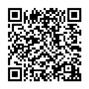 然后他们这些人阶十一星十二星的高手趁机夺取火朱果和炎朱果二维码生成