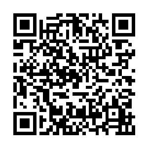 然后便怒气冲冲地朝指责自己操纵幻境蛊惑人心二维码生成