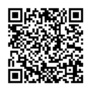 然后再将有人趁瘟疫作乱要毁掉临安城之事公之于众二维码生成