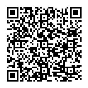 然后又是一大块烧羊肉……最让人惊喜的是还有两只黄澄澄的鸭梨也被扔了出来……二维码生成