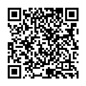 然后又看了看依旧保持扭打姿势的雨果和亚历克斯二维码生成