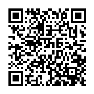 然后双手直接拍到了整个上半身的衣料都被湮灭了的后背上~二维码生成
