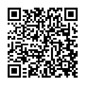 然后告诉胡媚儿那几个捡到种子的血战帮弟子的名字二维码生成