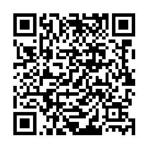 然后在众人目光的注视之中劳伦的身体缓缓的露出了水面二维码生成