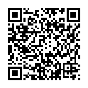然后大家就在杨家修士的带领下向着妖族领地飞行而去二维码生成