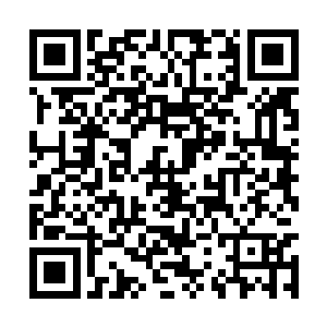 然后大部分时间都在叶楚的乾坤世界里面修行闭关二维码生成