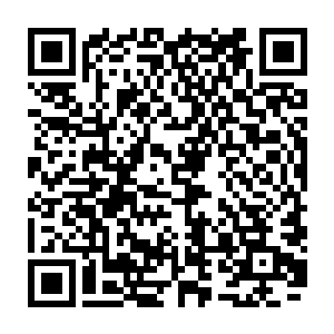 然后她看到翠儿有些惊慌失措地从梨花木柜子中翻出了一大堆布带和金疮药二维码生成