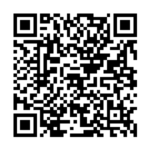 然后它又带领战士去把严默救回的过程全说了一遍二维码生成