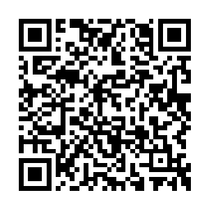 然后就从后面扑来的那只句狼的肚子上划了过去二维码生成