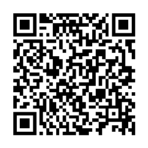 然后就发现神灵秘境的那个裂缝突然扩大了一倍不止二维码生成