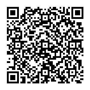 然后就好像引入共情金手指一样――只是那种金手指的作用就像是把她按到了一盆冷水里二维码生成