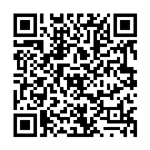 然后就把后箱放着装着两只小狗的筐给放到了地上二维码生成
