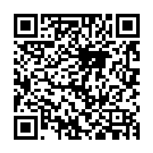 然后就有着凉凉的东西从他的衣袖里顺着他的手就爬到了我身上二维码生成