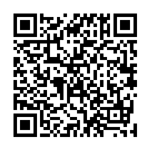 然后就看到那只鼬拧紧了那在雪白短毛中不太明显的眉头二维码生成