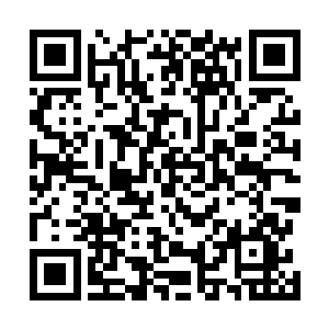 然后布列金夫斯基的树下就开始大吼着开始对警察提条件二维码生成