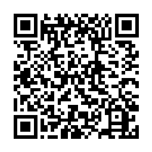 然后希望能从其上的壁画当中寻找到一些相关的信息二维码生成