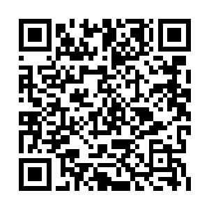 然后想要为小队长报仇的那些弟兄们也全都死了二维码生成