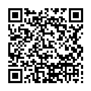 然后感受到自己体内的经脉竟然开始发出欢愉的呼喊二维码生成