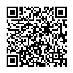 然后我又再回到那里的时候……用了整整一年的时间二维码生成