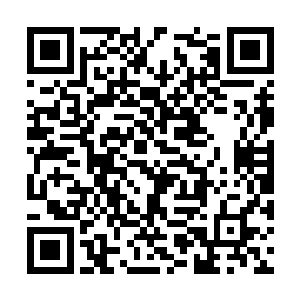 然后我就发现仙药就放置在离在我不远处的石台上二维码生成