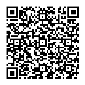 然后才回到了自己的工作点儿开始和工友们一起把笼子从最顶上取下来然后放到许辉的面前二维码生成