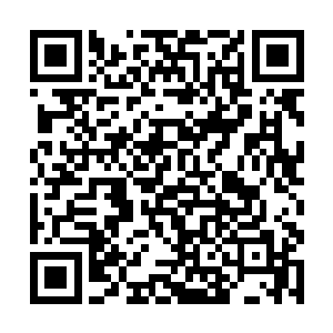 然后把新学的双面绣技巧教给梁大奶奶和梁家的绣娘二维码生成