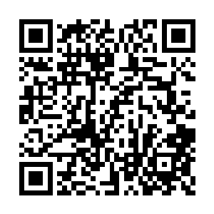 然后拉着被狂风吹的有点懵的陌星子回到火堆旁二维码生成