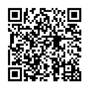 然后挥舞着手上的血红苍龙剑指着眼前那巨大身躯的龙蟒道二维码生成