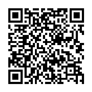 然后搭乘岛下的悬浮车在仿若迷宫般的岛下兜兜转转一圈后二维码生成