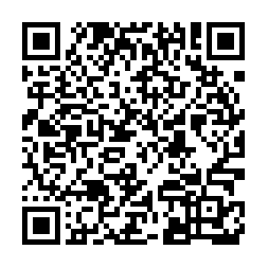 然后方灵颖就目瞪口呆又忍不哈大笑的站在空旷的机场跑道边摇曳二维码生成