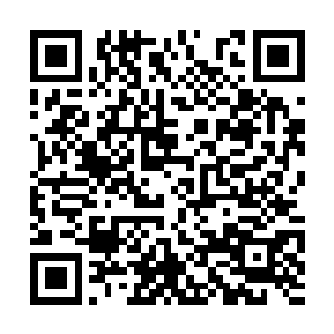 然后明天的时候教皇路易斯二世那边应该就会配合二维码生成