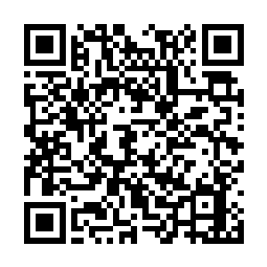 然后根据你们的决策来制定我们下一步的行动方案二维码生成