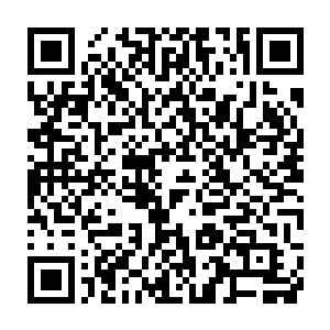然后狠狠撞击在了远处因为之前战斗冲击波所冲击出来的一些土丘之上二维码生成
