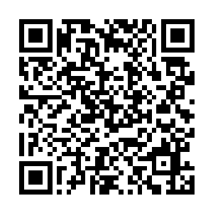 然后王屠户在朱平安的笑容中有些不好意思的马上改了口二维码生成